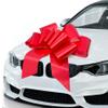 Big Red Car Bow 30in Large Giant for Car, Birthday Gift, Large Gift view 3