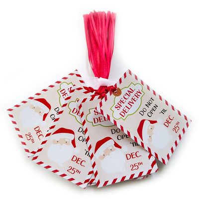 Santa Special Delivery Gift Tags, Do Not Open Until Christmas, Set of 24