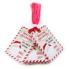 Santa Special Delivery Gift Tags, Do Not Open Until Christmas, Set of 24 view 3