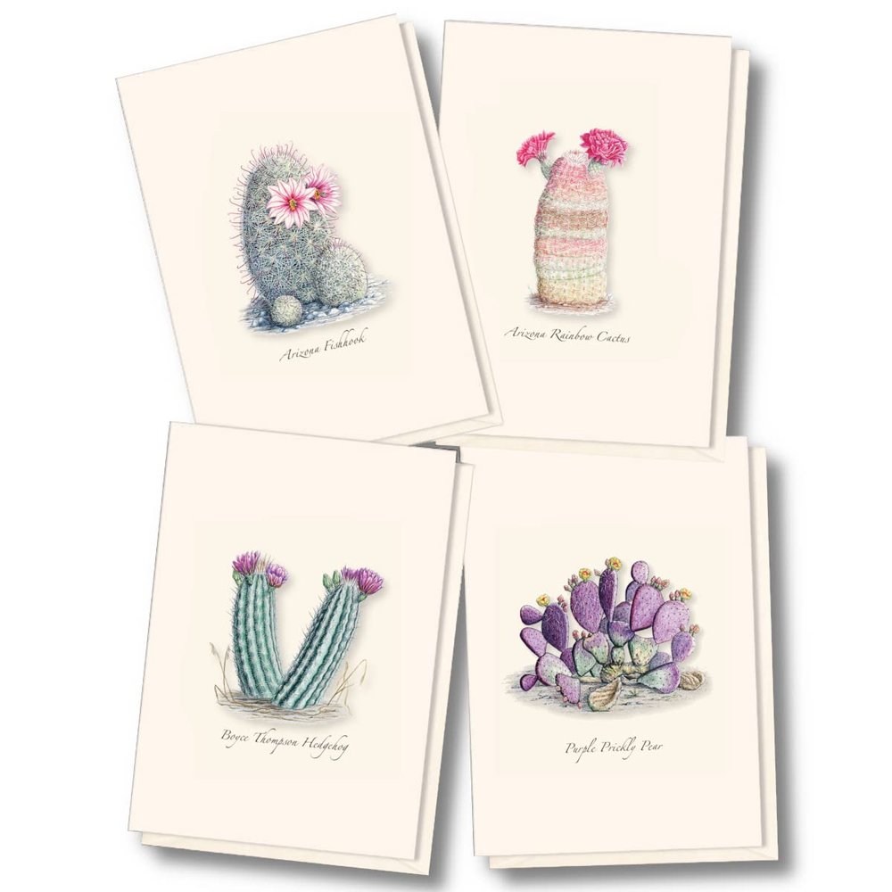 Earth Sky + Water - Cacti Notecard Set I - 8 Blank Cards with Envelopes