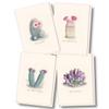 Earth Sky + Water - Cacti Notecard Set I - 8 Blank Cards with Envelopes view 1
