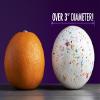 The World Famous Classic Giant Jawbreaker Candy | Mega Bruiser | 3 3/8" | Jumbo Jawbreakers Sucker Candy - Ideal Holiday Gift view 3