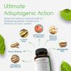Adaptogen Immune, Adaptogens Supplements, Ashwagandha Supplements with Siberian Ginseng, Astragalus Root, and More - Promotes Healthy Body Functioning - Stress Relief Supplement, 120 Capsules view 3