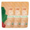Dr. Fuhrman Organic turmeric Curry | Oil-Free Vegan Snack | No Salt Added, Non-GMO, Plant-Based Healthy Chips | 3 Pack view 1