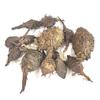iqra Nagarmotha/ / Sedge Root/Cyperus rotundus (500 Gms) view 1
