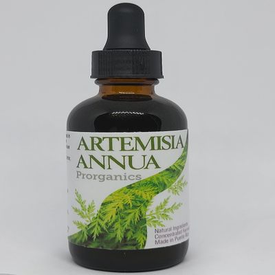Prorganics 2oz Organic Artemisia Annua Extract Tincture 20:1