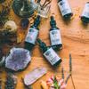 Anima Mundi Apothecary Dolores Tonic - Herbal Pain Management Supplement - Liquid Drops for Pain Management Support (2oz / 59ml) view 3