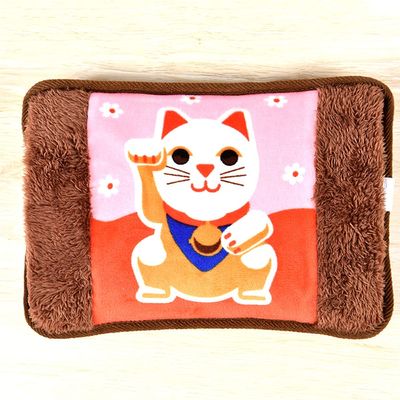 Rechargeable Heating hot Water Bottle,hot Water Bottle,Double-Handed Plush Cover,Help Relieve Body Pain and Help Warmth (Color : Brown 1)