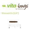 Timberline Vita-Bugs Waxworms, Count of 1000, 1000 CT view 2