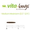 Timberline Vita-Bugs Medium Mealworms, Count of 5000, 5000 CT view 2
