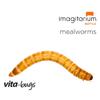 Timberline Vita-Bugs Small Mealworms, Count of 5000, 5000 CT view 1