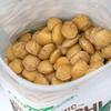 HerbaZest Sacha Inchi Seeds (2 LB)  USDA Certified Organic  Vegan, Non-GMO & Gluten-Free  Perfect for Snacks, Baked & Non-Baked Goods view 3
