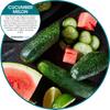 Fresh Products Hang Tag Air Freshener for Small Spaces Discreet Made with Natural Oils Suction Cup to Flat Surfaces Made in the USA Cucumber Melon 12 pack Suction Cups Included view 2