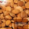 NY Spice Shop Sweet Apricot Kernels - 1 Pound Dried Sweet Raw Apricot Seeds - Sun Dried Appricot Seeds - Super Natural Dry Food - Rich Source of Vitamin & Protein view 3