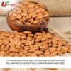NY Spice Shop Sweet Apricot Kernels - 1 Pound Dried Sweet Raw Apricot Seeds - Sun Dried Appricot Seeds - Super Natural Dry Food - Rich Source of Vitamin & Protein view 4