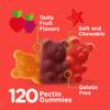 Viteey Kids Multivitamin Gummies, Complete Daily Essential Kids Vitamins - Great for Immune Support & Overall Health - 12 Essential Minerals & Vitamins - Vegetarian, Gelatin Free- Fruit Flavor Gummy view 3