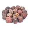 1/2LB Large Leopard Skin Jasper Tumbled Stone Specimen Collection Pocket Worry Healing Crystal view 1