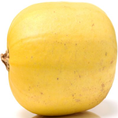 40+ Spaghetti Squash Seeds for Planting - Heirloom Non-GMO USA Grown Winter Squash Seeds by RDR Seeds