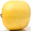 40+ Spaghetti Squash Seeds for Planting - Heirloom Non-GMO USA Grown Winter Squash Seeds by RDR Seeds view 1