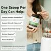ACTIVATEDYOU Morning Complete Daily Wellness Greens Superfood Drink Mix for Gut Health w/Prebiotics, Probiotics, Antioxidants, Green Superfoods, 10 Billion CFUs, 30 Servings (Apple Cinnamon) view 3