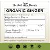 Herbal Roots Ginger Supplement | Organic Ginger Root Capsules | 1,200 mg of Pure Ginger Powder per Serving | 60 Vegan Capsules view 2