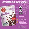 Made In Nature Organic Dried Raisins, 12 Ounce (Pack of 6)  Vegan Snack, Non-GMO, Kosher view 4