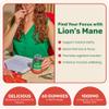 Fungies Lion's Mane Mushroom Gummies, Mixed Blueberry & Strawberry Flavor - Mushroom Supplement Gummy for Adults & Children Supports Brain Health, Cognitive Function, Focus, Memory & Mood, 60 Servings view 2