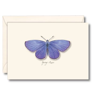 Earth Sky + Water - Spring Azure Boxed Note