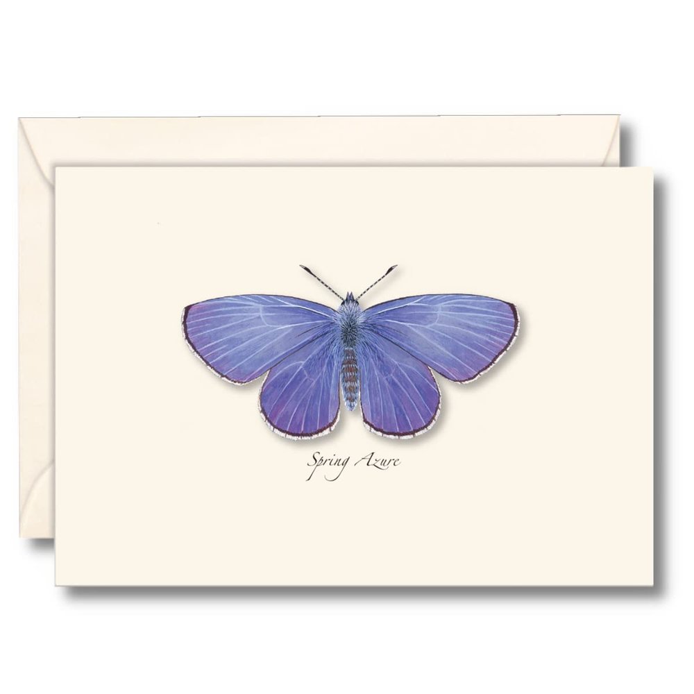 Earth Sky + Water - Spring Azure Boxed Note