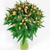 60 Fresh Flowers Every Day|Worlds Finest Alstroemerias|Premium Alstroemerias from Plazoleta |Air-mailed Directly to Your Home | Anniversaries,Mothers Day,Valentines, Birthdays,New Year. (Pink) view 3