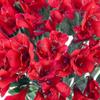 60 Fresh Flowers Every Day | Worlds Finest Alstroemerias | Premium Alstroemerias from Plazoleta |Air-mailed Directly to Your Home | Anniversaries,Mothers Day,Valentines, Birthdays,New Year.(Red) view 2