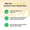 DERMOIA Manuka Honey Cream - Eczema Cream for Adults & Kids - Seborrheic Dermatitis Cream for All Skin Types - Eczema Honey Cream for Redness & Itch Skin Relief with Aloe Vera - 4oz view 4