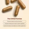 CHOQ Action 2.0 Energy & Circulation Support - Rhodiola Rosea, Beetroot & B12 Supplement - Nitric Oxide Booster for Men & Women - Focus & Recovery - 90 Capsules view 3