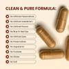 CHOQ Action 2.0 Energy & Circulation Support - Rhodiola Rosea, Beetroot & B12 Supplement - Nitric Oxide Booster for Men & Women - Focus & Recovery - 90 Capsules view 4