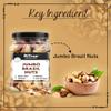 Admart RiTrue - Handpicked Brazil Nuts Organic - 250 Gm - Selenium Rich Dry Fruit - Premium Brazil Nut view 2