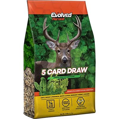 5 CARD DRAW