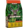 5 CARD DRAW view 1