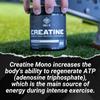 Swole AF | CREATINE Mono | Pre & Post Workout for Muscle Gain Endurance & Recovery | Dietary Supplement to Improve Strength Power Performance & Muscle Growth view 3