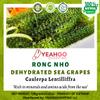 Yeahgoshopping Dried Sea Grapes, Fresh Organic Seaweed, Umibudo, Dehydrated Caulerpa Lentillifera to Eat with Salad, Sushi, Meat and Fish - 100% Natural Green (100gram/ 3.52 Oz) view 2