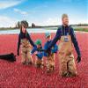Admart RiTrue - Dried Sliced Cranberry & Whole Blueberry Combo (250 Gm Each) - Organic Cranberries & Blueberries Without Sugar (unsweetened Dry Fruits) view 4
