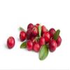 Admart Namo Organics - Dried Whole Cranberry (Bold) - 400 Gm (Pack of 2) - (Gluten Free, Vegan & Non GMO) Organic Cranberries Dry Fruits view 3