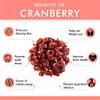Admart Namo Organics - Dried Whole Cranberry (Bold) - 400 Gm (Pack of 2) - (Gluten Free, Vegan & Non GMO) Organic Cranberries Dry Fruits view 4