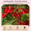Hee Creek Schisandra Berry  10.6oz/300g Schizandra Berries Tea, Omija,Wuweizi Tea, ,  view 2