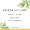 Burt's Bees Toothpaste, Natural Flavor, Fluoride-Free, Purely White, Zen Peppermint, 4.7 oz, Pack of 3 view 3
