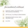 Burt's Bees Toothpaste, Natural Flavor, Fluoride-Free, Purely White, Zen Peppermint, 4.7 oz, Pack of 3 view 4