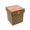 FELANAS 6 Pack Cardboard Gift Boxes Large Gift Boxes with Ribbon | Wrapping Clothing Boxes for Gifts, Mailing, Clothes, Robe | 16 x 17 x 19 CM : 6.5" x 6.5" x 7.5" | Pink Ribbon view 1