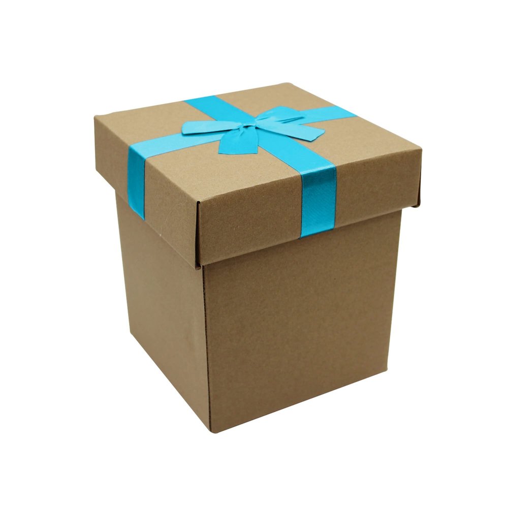 FELANAS 6 Pack Cardboard Gift Boxes Large Gift Boxes with Ribbon | Wrapping Clothing Boxes for Gifts, Mailing, Clothes, Robe | 16 x 17 x 19 CM : 6.5" x 6.5" x 7.5" | Light Blue Ribbon