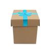 FELANAS 6 Pack Cardboard Gift Boxes Large Gift Boxes with Ribbon | Wrapping Clothing Boxes for Gifts, Mailing, Clothes, Robe | 16 x 17 x 19 CM : 6.5" x 6.5" x 7.5" | Light Blue Ribbon view 3