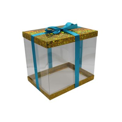 FELANAS 6 Pack Acetate Gift Boxes Iridescent Top with Ribbon | Wrapping Clothing Boxes for Gifts, Mailing, Clothes | 27 x 20 x 25.5 CM : 10.8" x 8" x 10" | Gift Cardboard Boxes (Golden/Light Blue Ribbon)