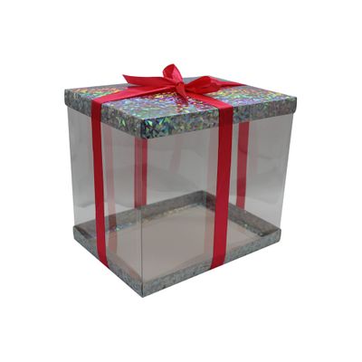 FELANAS 6 Pack Acetate Gift Boxes Iridescent Top with Ribbon | Wrapping Clothing Boxes for Gifts, Mailing, Clothes | 27 x 20 x 25.5 CM : 10.8" x 8" x 10" | Gift Cardboard Boxes (Silver/Pink Ribbon)
